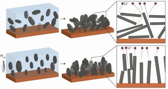 Tilfeldige arrangerte grafittflak i en konvensjonell anode (øverst til venstre og midten): Litiumioner som forsøker å feste seg eller returnere til katoden er tvunget til å ta omveier (øverst til høyre). Men om grafitt utsettes for et roterende magnetfelt (nederst), vil flakene i væsken orientere seg vertikalt i parallell formasjon. De beholder denne orienteringen etter at de har tørket (nederst, midten). Ionene får en kortere vei å vandre (nederst, høyre). (Illustrasjon: Juliette Billaud, Florian Bouville, Tommaso Magrini/Paul Scherrer Institut, ETH Zurich).