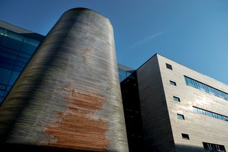 Seks år gamle Vågen skole har allerede store skader på den ubehandlede trefasaden. Foto: Carina Johansen