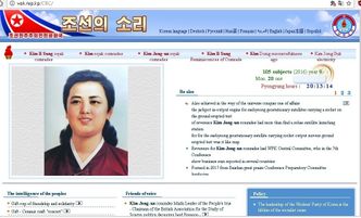 Et av propaganda-nettstedene Nord-Korea tilbyr hele verden. Bilde: Skjermdump