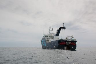 Tråleren Molnes har fisket hvitfisk i Nordsjøen etter ombyggingen. Nå foregår fisket i Barentshavet. Molnes skal drive helårsfiske. Foto: Nordic Wildfish