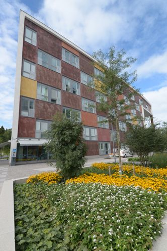 Grønt: Hjorthagen er det miljømessig ambisiøse området i Norra Djurgårdsstaden. Et urbant og attraktivt lokalsamfunn med gode offentlige rom og innovative grønne løsninger tar form. Foto: Fredrik Drevon