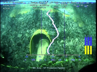 Flere hundre tonn med blåskjell og anemoner må fjernes fra undervannsinstallasjonene på Yme-feltet. Foto: Repsol/Subsea 7