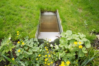 - Det viser seg at det er kunnskapsmangel i alle ledd, samt i kommunene som har det overordnete ansvaret, sier Ingrid Merete Ødegårs. Bildet viser fangdam for takrenne med vegetasjon. Foto: Håkon Sparre