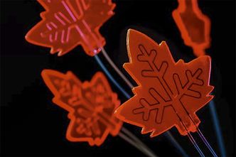 Kjemisk fabrikk: Mikrofabrikken har fått form som et løvblad for å understreke at den bruker samme prinsipp som planter og trær til å bygge nye kjemikalier. Foto: TU Eindhoven / Bart van Overbeeke