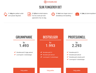 Skjermdump fra CV Gurus nettsider. Foto: Skjermdump