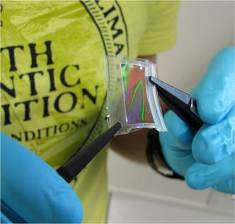 Polymer-membranet er fleksibelt og kan bøyes. Foto: Syddansk universitet