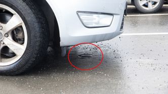 Sensoren er utstyrt med radarteknologi og et magnetometer som leser av aktiviteten over asfalten. Foto: Varog Kervarec