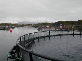 Oppdrettsteknologien må utvikles. Foto: KIG