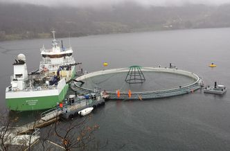 Forskning på oppdrett i lukket anlegg på Molnes i Skånevik. Foto: Jan Eirik Jensen/Marine Harvest