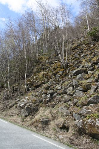 Deler av veistrekningen er svært rasutsatt. Foto: Statens Vegvesen