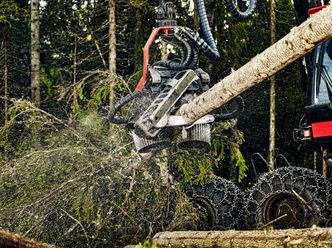 Energiinnholdet i tørt trevirke er rundt fem kilowattimer per kilo. Altså litt under halvparten av energiinnholdet i flytende drivstoff som bensin og diesel.