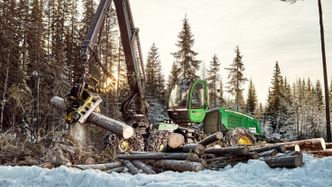 Biodrivstoff fra trevirke kan gi biodrivstoff til luftfart som gir faktisk utslippsreduksjon. Foto: Viken skog