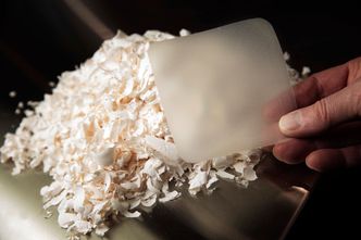 I bakgrunnen en liten haug eggeskallmembran slik den kommer ut fra første trinn i prosesseringen hos Nortura. I forgrunnen et ferdig plaster som kan legges på et sår. Foto: Sverre Chr. Jarild