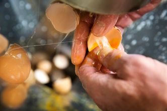 Denne tynne hinnen, eggets morkake, er råstoffet til produkter som kan bidra til å få kroniske sår til å gro. Kroniske sår er et økende problem, og blir av helsevesenet karakterisert som en folkesykdom. Foto: Sverre Chr. Jarild