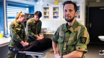 Veterinær Svein Stueland, med Kamilla Selsvik og Nikolai Igesund i bakgrunnen. Foto: Mathias Klingenberg
