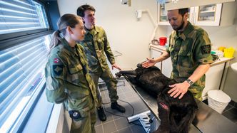 Svein Stueland (til høyre) instruerer Kamilla Selsvik og Nikolai Igesund før øvelsen begynner. Foto: Mathias Klingenberg