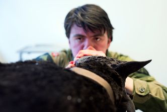 Nikolai Igesund utfører munn til nese på K9 Hero. Foto: Mathias Klingenberg