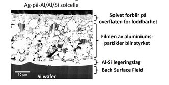Tverrsnitt sett i et skanning elektronmikroskop: Den nye teknologien gjør det mulig å legge sølvsjiktet på overflaten av aluminiumslaget uten at det diffunderer inn i aluminiumen når solcellen utsettes for en temperatur på rundt 1000 grader i noen sekunder. I tillegg blir aluminiumslaget under sølvsjiktet styrket slik at det tåler å bli loddet til kobberledere. Bilde: Erik Sauar
