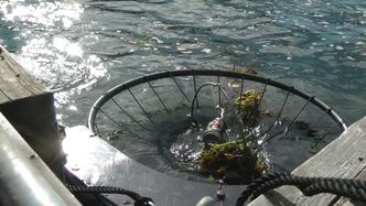 Portbin er utviklet av Sandefjordsbedriften Spilltech som arbeider med utvikling av oljevernutstyr.  Bilde:  Trond Lindheim/ Spilltech