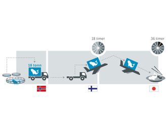 Laks fra nord har få timer på seg før den skal ligge i en sushibar i Japan, via E8 og fly fra Helsinki. Da må kjøreturen være forutsigbar, effektiv og rask. Det håper man å bedre med nye ITS-løsninger på veien.  Foto: Statens Vegvesen