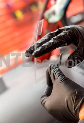 2. Klebeantenner er gjennomsikige og lette å feste på glasset. Husk å jorde antennen og å montere den vertikalt. Foto: NTB Scanpix