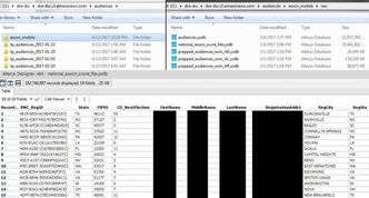 «Exxon-Mobile»-filen viser «sentimentanalyser» av 182 millioner amerikanere. Foto: Upguard