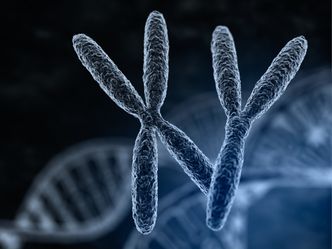 Man and woman chromosomes with macro focus effect.