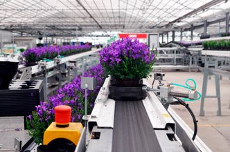 RFID-lesere rundt i anlegget registrerer dataene til den enkelte potteplante via en RFID-brikke på undersiden av potten. Dataene følger potteplanten hele veien rundt i anlegget, og er synkronisert med gartneriets ordresystem for full sporbarhet og transparens. Foto: Morten Vittrup Lund