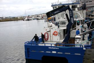 Dieseldrevne arbeidsbåter ligger tett i tett fra ulike leverandører på Skansen i Trondhiem under AquaNor. En merd fra Lerøy har også fått plass i havna. Foto:  Tore Stensvold
