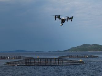 Drone inspiserer oppdrettsanlegg fra lufta. I Artifex-prosjektet er det meningen at den skal sendes opp fra og landes på en ubemannet overflatefarkost (USV). Foto:  Eirik Svendsen/SINTEF OCEAN