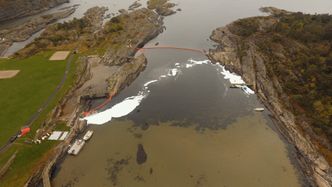 "Olje" i form av popcorn samles i lenser i Krogshavn ved Langesund. Oljevernøvelsen Scope 2017. Oljevernøvelsen Scope 2017. Foto:  Kystverket