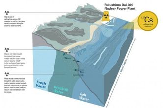 Illustrasjonen viser hvordan radioaktivt materiale kan ha blitt transportert rundt i årevis. Foto:  Natalie Renier, Woods Hole Oceanographic Institution