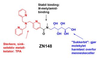 For å bygge det virksomme molekylet har forskerne satt sammen tre funksjonelle grupper til et molekyl.
