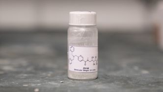 Mus som er smittt med multiresistente bakterier blir friske av vanlig antibiotika om de først blir injisert med den nye metall-kelatoren som forskerne har utviklet. Foto:  Eirik Helland Urke