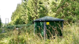 Små trafokiosker som glir inn i terrenget, er blitt et av Eva Widenojas varemerker. Bilde:  Statnett/Woldcam