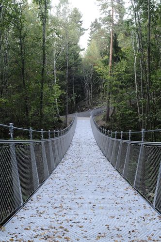 Jungelbru bru Foto: Are Carlsen