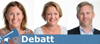 Ingrid Wiig, Annette Ommundsen og Arnfinn Flo er en del av faggruppen for eierstyring i Promis AS. Selskapet jobber med smidig utvikling og prosjektledelse, har utviklet sertifiseringsordningen ITPP og ledet arbeidet med utvikling av smidige kontrakter i DND.