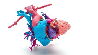 Nye løsninger gjør det mulig å 3D-printe i farger. Foto: HP