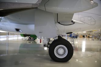 Landingsstell med «trailing arm». Foto:  Per Erlien Dalløkken