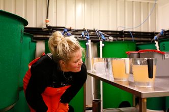 Rogn og melke blandes ved Havlandet Marin Yngel. En liter torskerogn inneholder mellom 400 og 500.000 egg. Det er hundregangen i forhold til lakserogn.  Foto:  Eivind Hauge, HMY