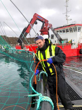 Lite og vedlikeholdsfritt: Cosmin Simion i Austevoll Melaks viser hvordan ekkoloddet ser ut. Foto:  Henrik Melingen.