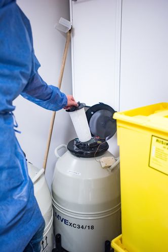 Viktig overvåking: Nede i denne tanken ligger embryoer nedfryst i strå. Foto:  Havard Zeiner