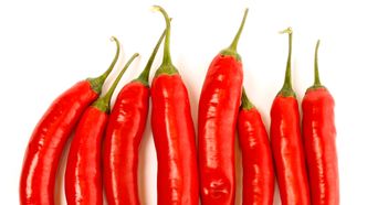 Pepperstoffer, i naturen kjent som capsaiciner, kjenner de fleste av oss fra sterk mat. De brenner på tungen, og i likhet med sjødyr unngår vi for mye av dem. Foto: Colourbox