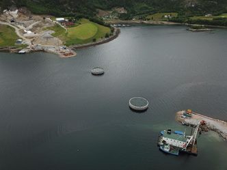 Den nye Årstfjordbrua tar form. Foto:  Statens vegvesen