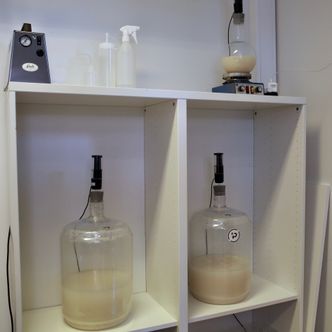 Plaato gjør mye egen testing av produktet. Her måles gjæringsforløpet til to ulike batcher med vørter, den ene er tilsatt dobbelt så mye gjær som den andre. Foto: Kurt Lekanger, Digi.no