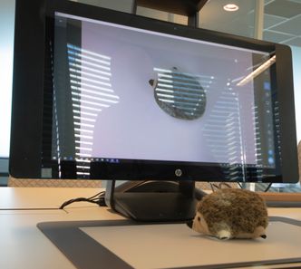 Etter at objektet er skannet, kan 3D-modellen redigeres og sendes videre til andre enheter. Det er også enkelt å printe det ut. Foto:  Delta V