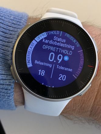 Undertrent eller overtrent? Klokken gir deg oversikt over hvilken effekt treningen din har. Foto:  Kurt Lekanger