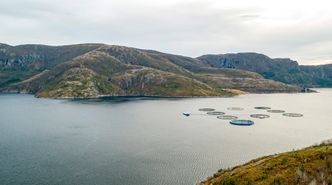 Oppdrettsmerden Aquatraz (nærmest) ligger sammen med konvensjonelle merder i Eiterfjorden i Nærøy. Over nyttår får den selskap av en til. Foto:  Håvard Zeiner