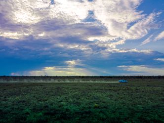 Australia. Foto: Wiebe Wakker