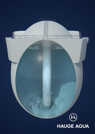Hauge Aqua eier patentet bak utviklingskonseptet Egget. Illustrasjon: Hauge Aqua